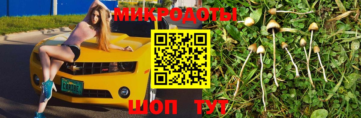 Галлюциногенные грибы Magic Shrooms  Вход с VPN  Галлюциногенные грибы Cubensis  Лесосибирск 